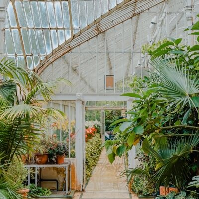 the inside of a greenhouse